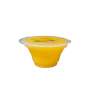 Pudding Mango